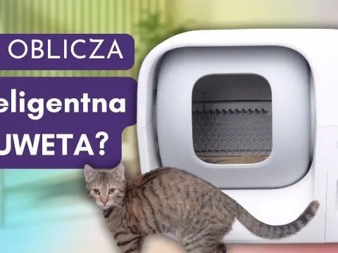 Jak działa kuweta samoczyszcząca? Odkryj jej sekrety i zalety