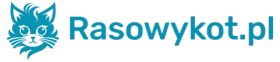 rasowykot.pl